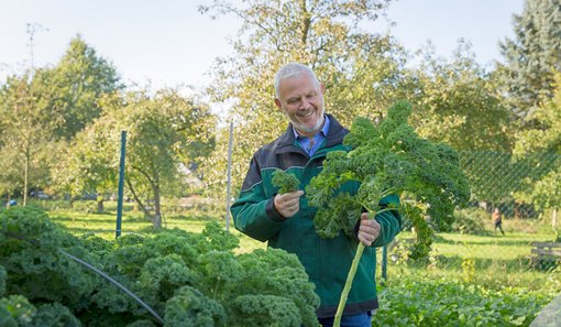 Mitarbeiter im Garten mit Grünkohl