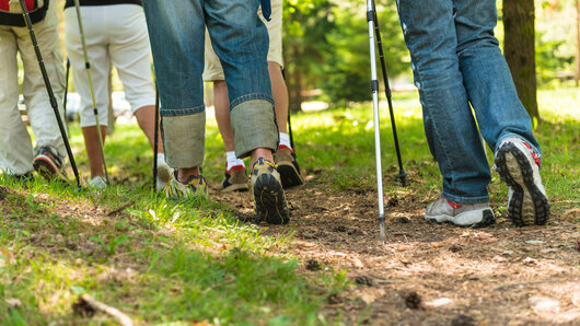 Fünf Personen beim Nordic Walking