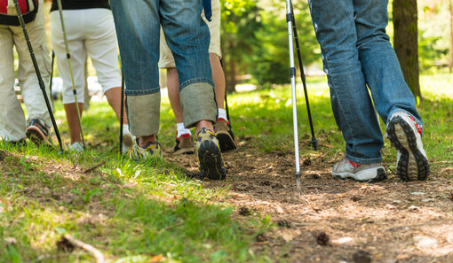 Fünf Personen beim Nordic Walking