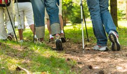 Fünf Personen beim Nordic Walking